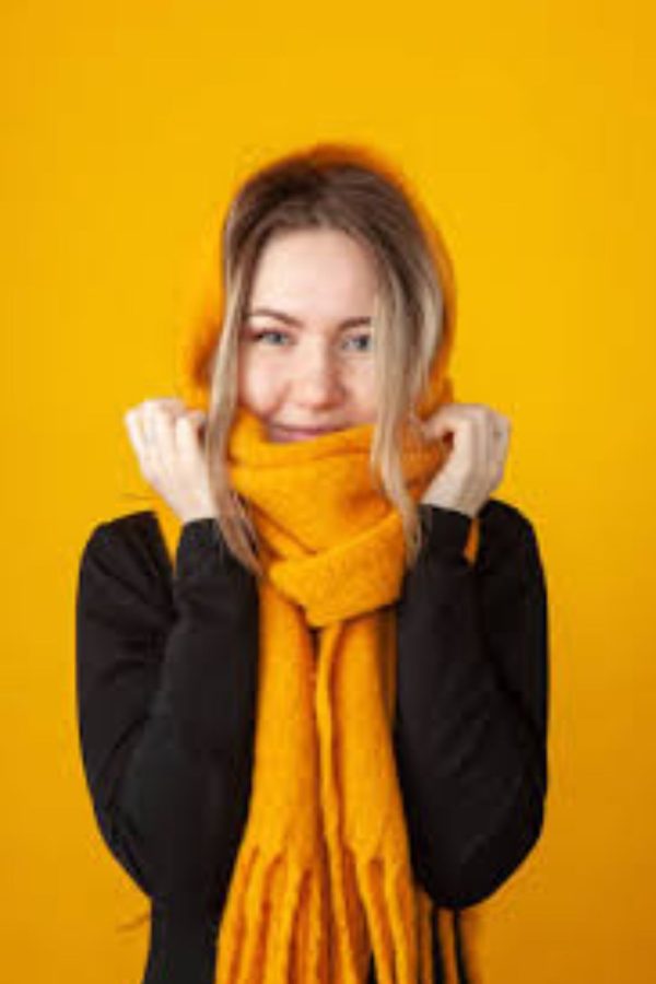 Chic Layered Winter Look - Image 2
